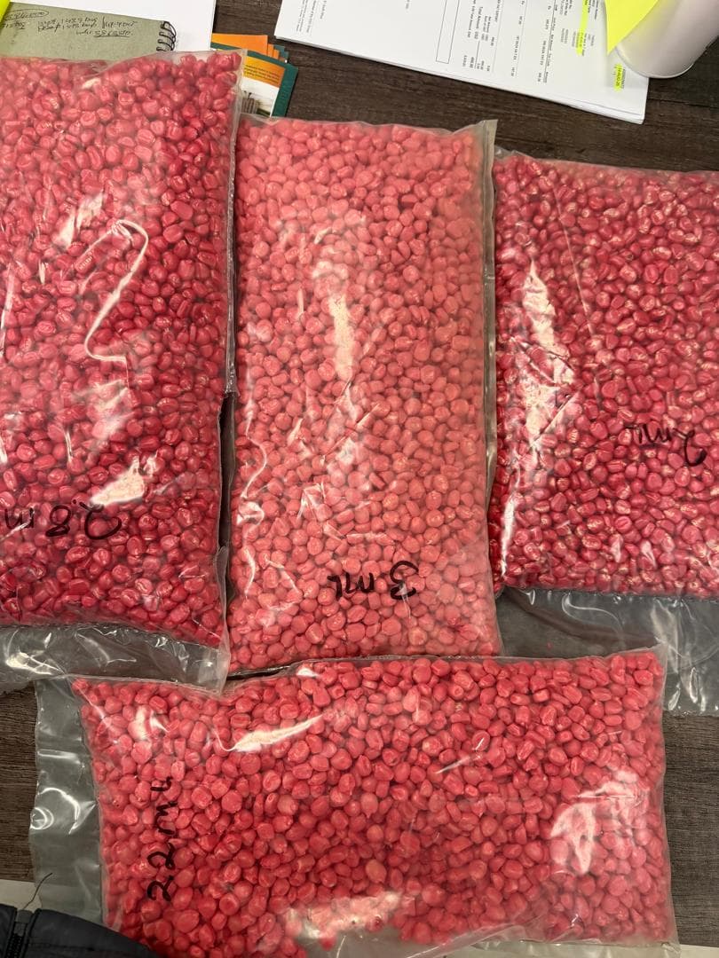 Cleaned, graded, and polymer-treated seed lots packaged in clear bags
