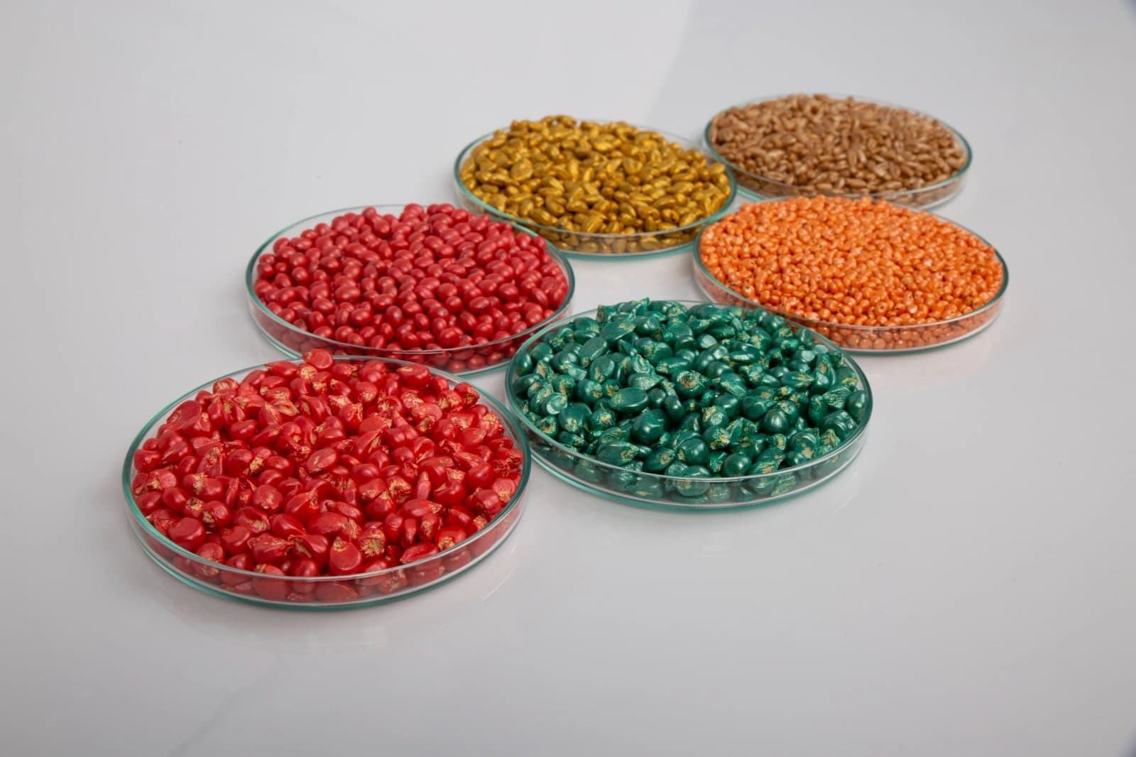 Uniformly coated seed samples from AgriTREATER 5000 continuous treatment